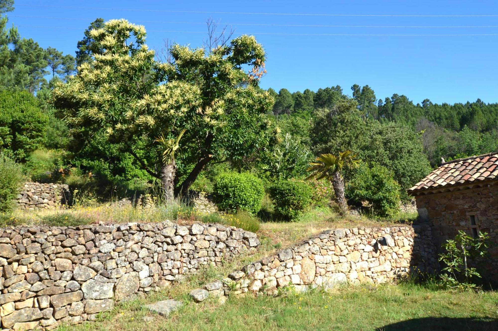 Generargues Mas Des Druilles Bed & Breakfast エクステリア 写真